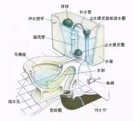 座便器里面的结构（坐便器里面的结构）