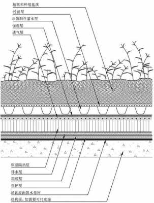 绿化屋面结构（绿化屋面结构图片）