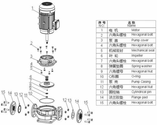 立式循环水泵结构（立式循环泵拆解视频）