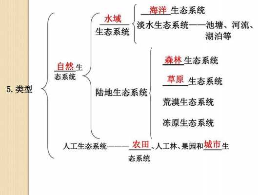 生态结构图（生态结构包括哪些）