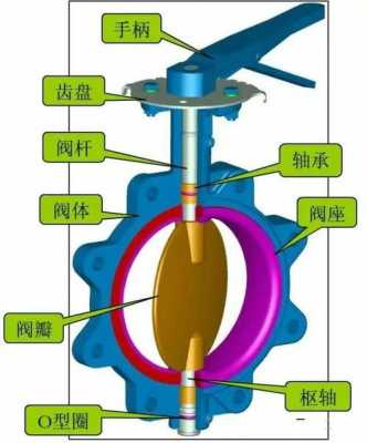 蝶阀的形式结构代号（蝶阀的结构,工作原理）