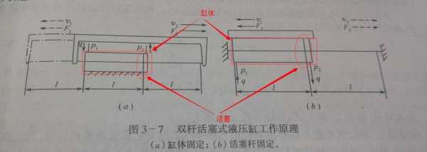 活动连接结构（活动连接体由什么组成）