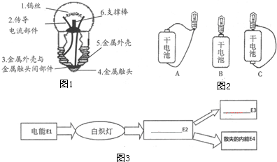 灯泡的结构图（灯泡的结构图怎么画）