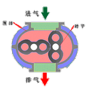 罗茨鼓风机结构（罗茨鼓风机结构动画图）