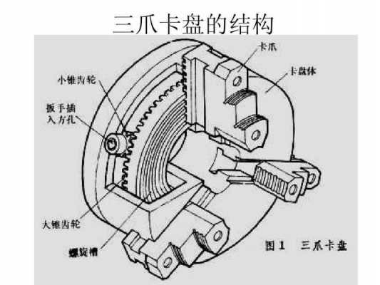 三爪结构图（三爪是啥）