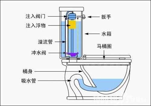 后排水马桶结构图（后排水马桶排污管要如何安装）